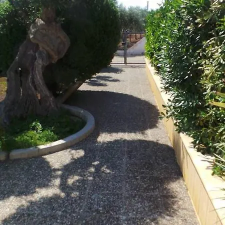 Alessandra * مونوبولي