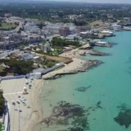 Alessandra فيلة *